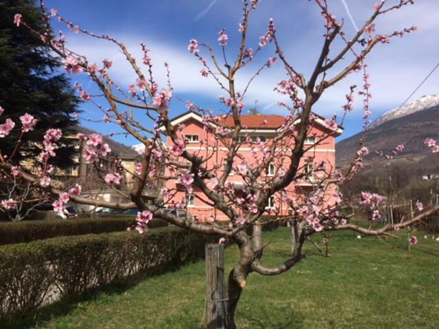 Al Borgo Di Sant'Orso - Cir 0342 Διαμέρισμα Αόστα Εξωτερικό φωτογραφία